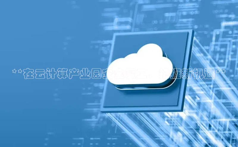 金年会金字招牌诚信至上龙年百度翻译App**在云计算产业园安全复工，把握新机遇**