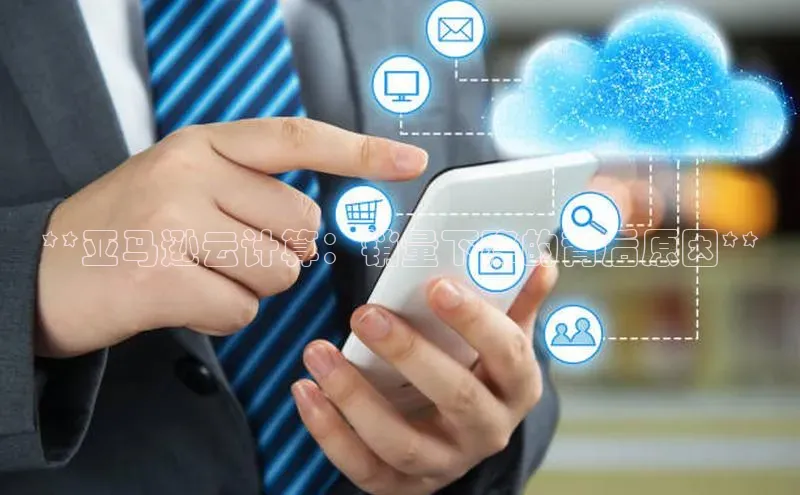 金年会电子游戏app华扬联众**亚马逊云计算：销量下降的背后原因**