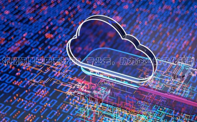 金年会金字招牌6766猫眼杭州阿里巴巴云计算：专业云，助力企业数字化转型