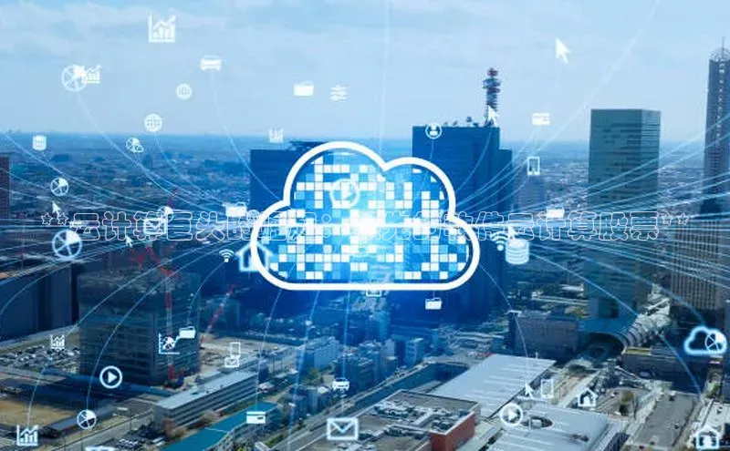 金年会金字招牌诚信至上|金年会首页赛富乐斯**云计算巨头的崛起：领先的软件云计算股票**