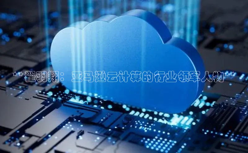 金年会电子游戏app诸葛科技**翟羽翔：亚马逊云计算的行业领军人物**