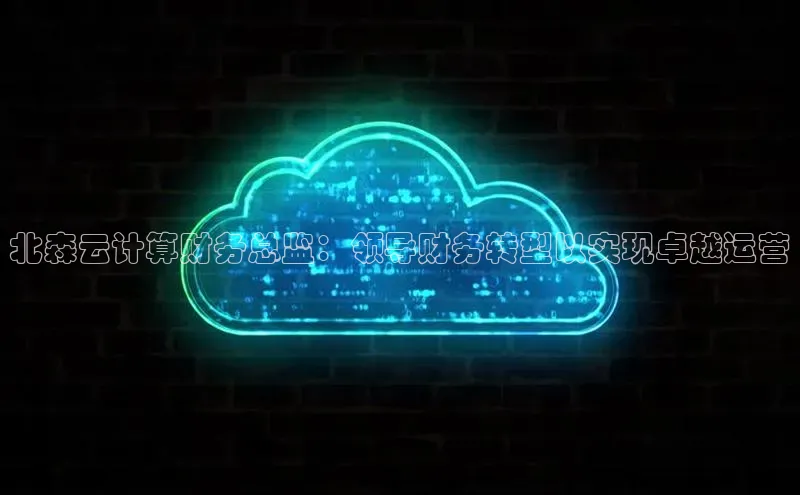 金年会·会官方入口登录彩讯股份北森云计算财务总监：领导财务转型以实现卓越运营