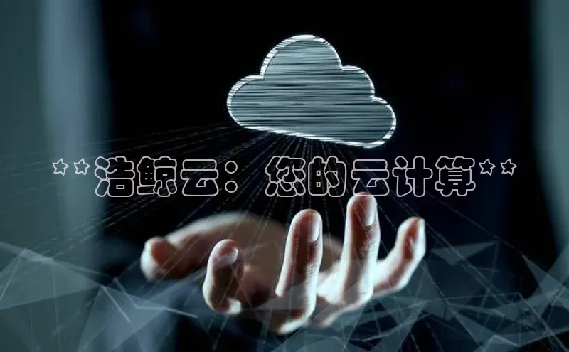 金年会电子游戏入口百度智能门户**浩鲸云：您的云计算**