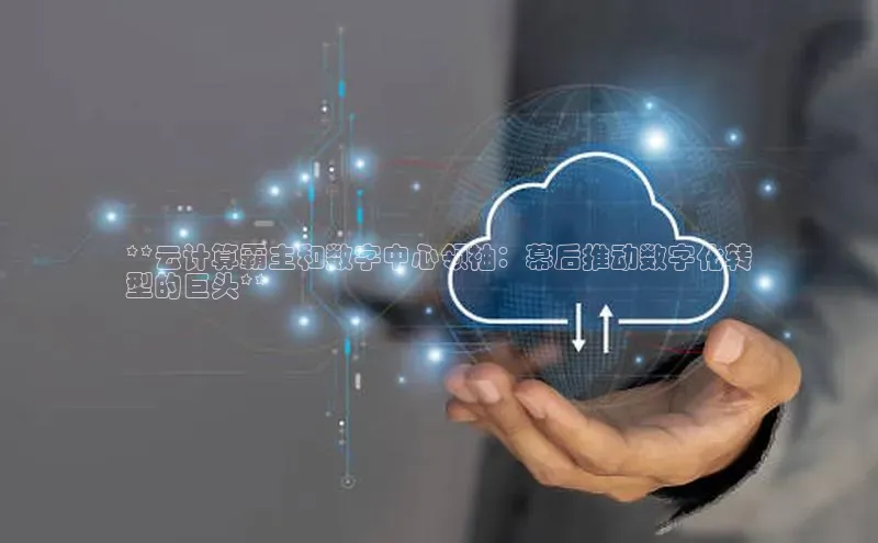 金年会金字招牌6766猫眼**云计算霸主和数字中心领袖：幕后推动数字化转
型的巨头**