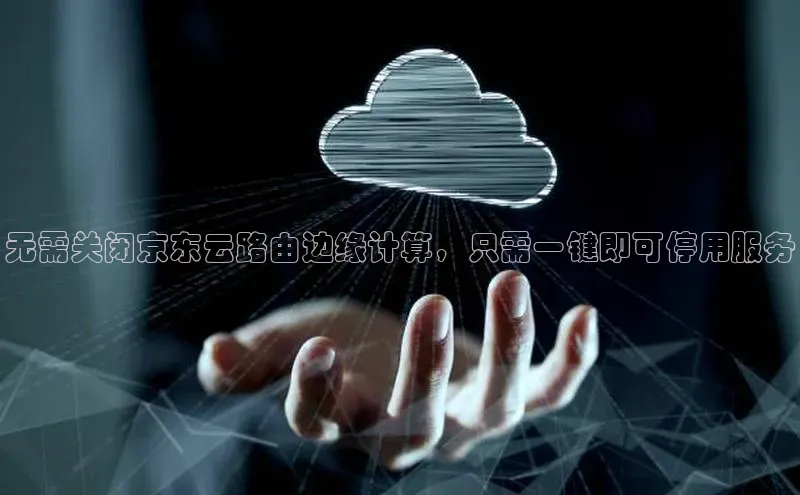 金年会app官方网巴美列捷福无需关闭京东云路由边缘计算，只需一键即可停用服务