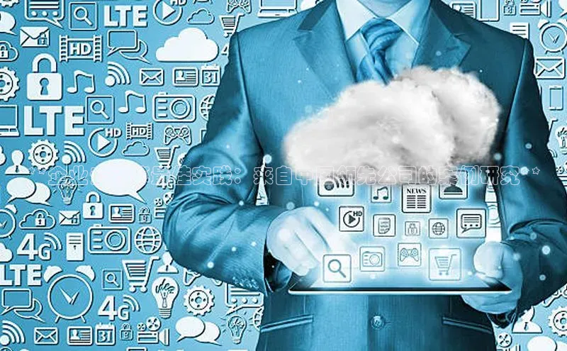 jinnian金年会百度搜索资源平台**企业云计算最佳实践：来自中国领先公司的案例研究**