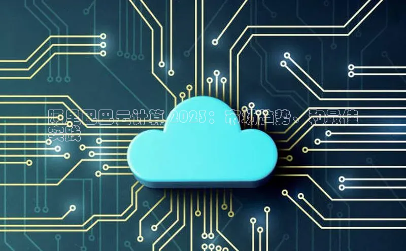 金年会金字招牌在线入口百度数据开放平台阿里巴巴云计算 2023：市场趋势、和最佳
实践