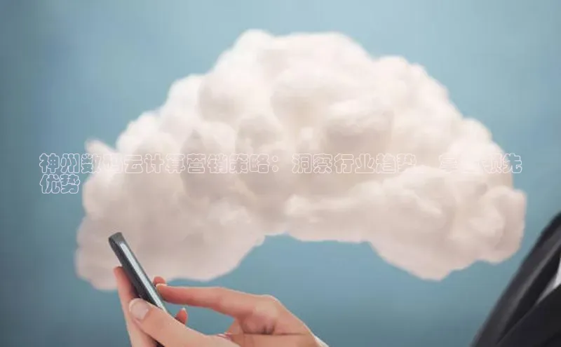 金年会金字招牌诚信至上|金年会首页赛富乐斯神州数码云计算营销策略：洞察行业趋势，掌握领先
优势