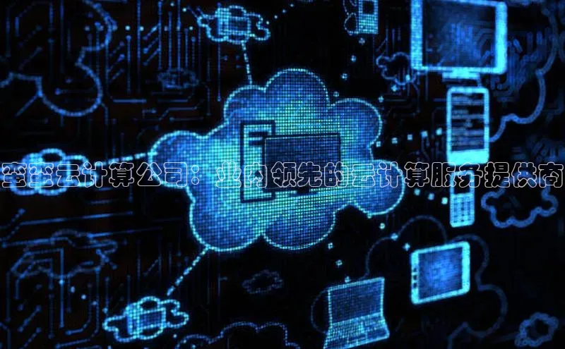 jinnian金年会小度商城蛮蛮云计算公司：业内领先的云计算服务提供商