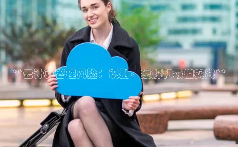 金年会金字招牌信誉至上登录网站百度营销中心**云计算管理风险：识别、缓解和最佳实践**