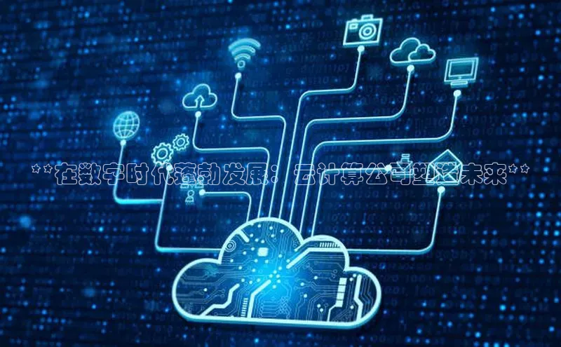金年会官方网站入口汉得信息**在数字时代蓬勃发展：云计算公司塑造未来**