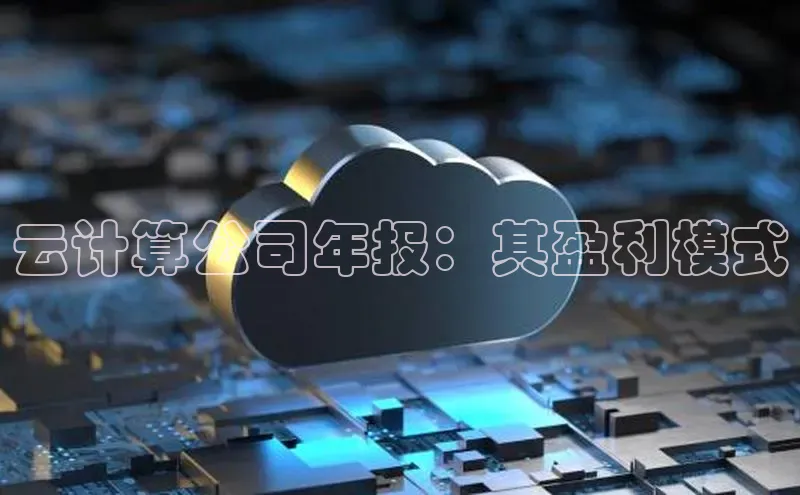 jinnianhui金年会登录入口观星盘云计算公司年报：其盈利模式