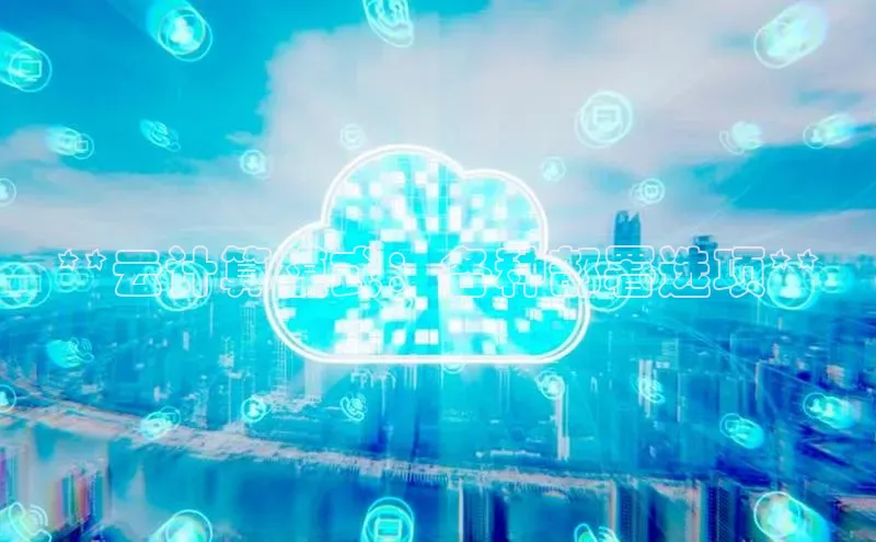 金年汇金字招牌信誉至上最新天键股份**云计算模式：各种部署选项**